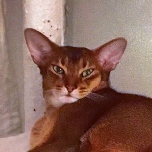 Meet your Posher, Mary